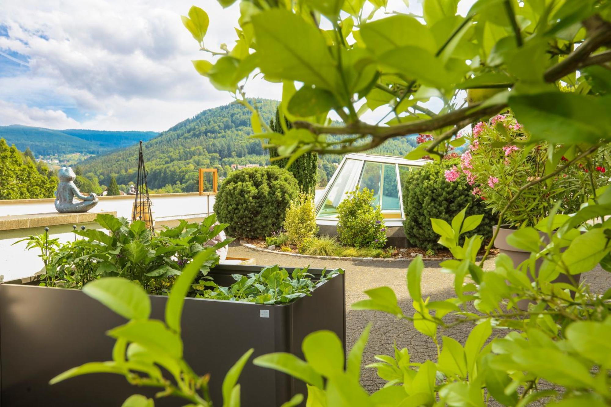 Schwarzwald Panorama Hotel Bad Herrenalb Ngoại thất bức ảnh