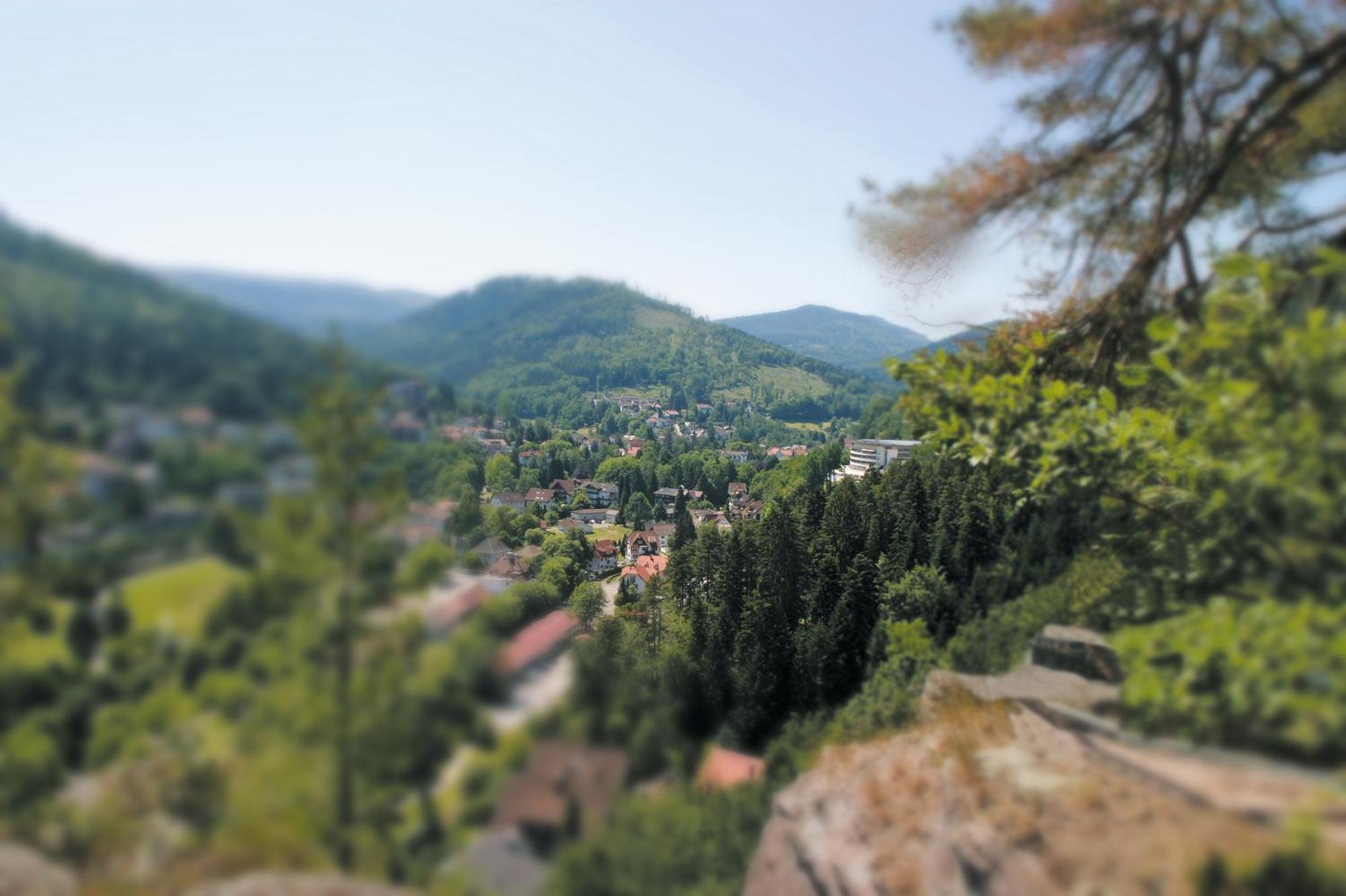 Schwarzwald Panorama Hotel Bad Herrenalb Ngoại thất bức ảnh